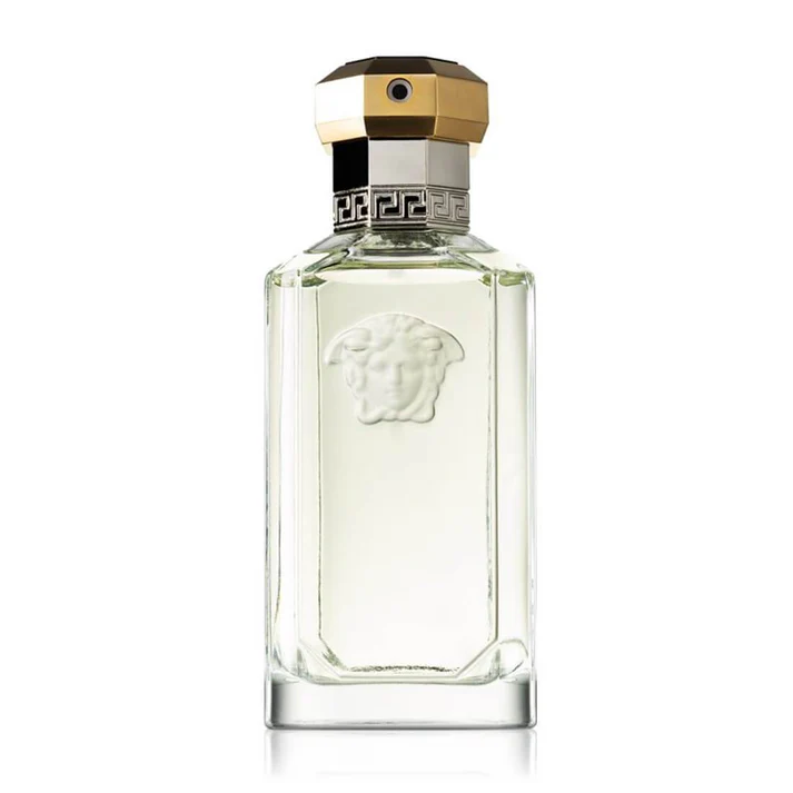 Versace The Dreamer EDT for Men 100ML